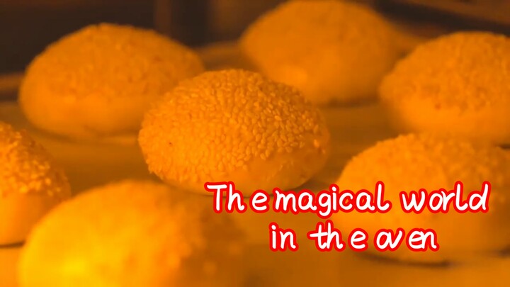 The magical world in the oven