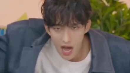 【SEVENTEEN】Siapa yang tidak tahu bahwa tim penggemar sebenarnya hanya berjumlah enam orang...