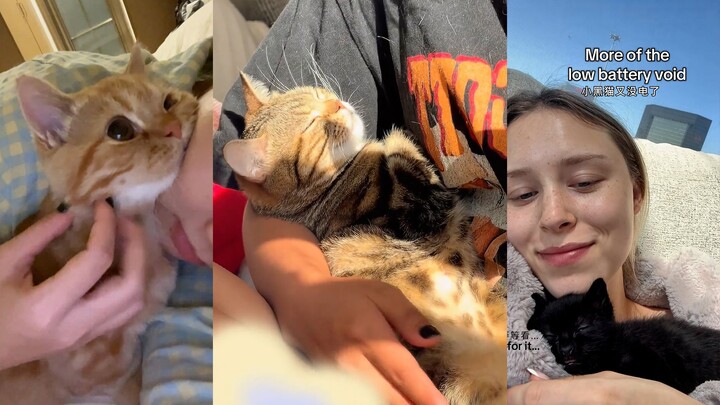 This is the happiness of having a cat, right here, right now.