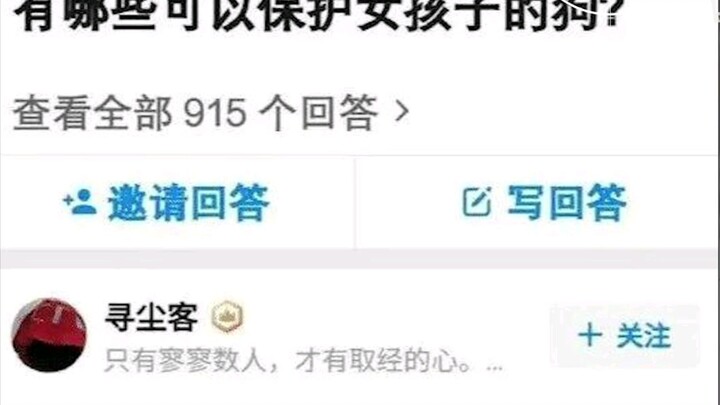 能保护女孩子的犬  分享今日份搞笑（37）
