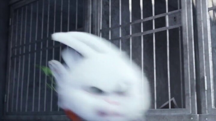 [Remake] This is what a rabbit should look like!!!