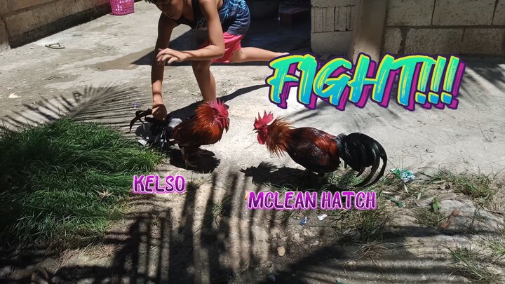 Mclean Hatch VS Kelso of Leap Warrior GF   SPAR!