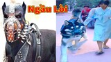 Thú Cưng TV | Gia Đình Ngáo Baby #7 | chó thông minh vui nhộn | Pets funny cute smart dog