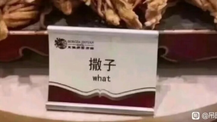 More outrageous translations 😂