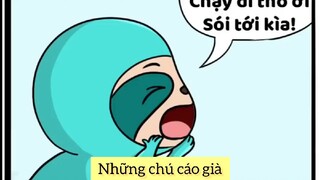 Những chú cáo già