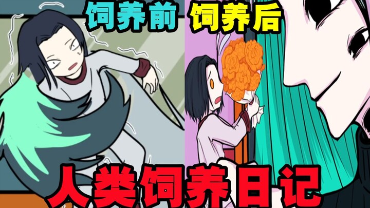 Humans accidentally stumble into an alien world—only to be treated as pets?! — [Human Pet Diary]