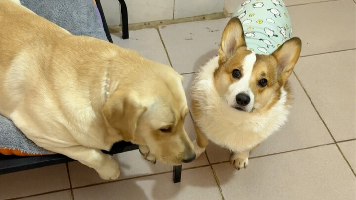 ช่วยเหลือกันถึงจะได้กินข้าว