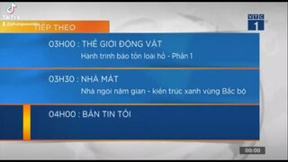 Cháo 1 🐧 - GTCT Hôm nay (07.08.2019)(720P_HD)