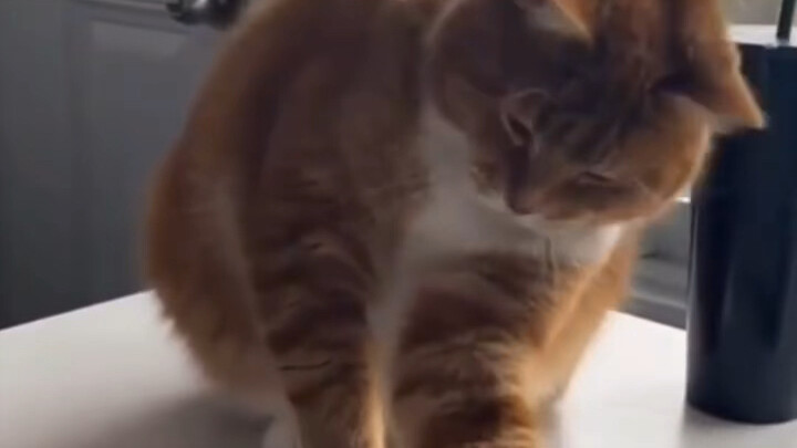 “ไม่ให้ฉันแตะ? ก็โดนกรรมตอบสนองสิ”