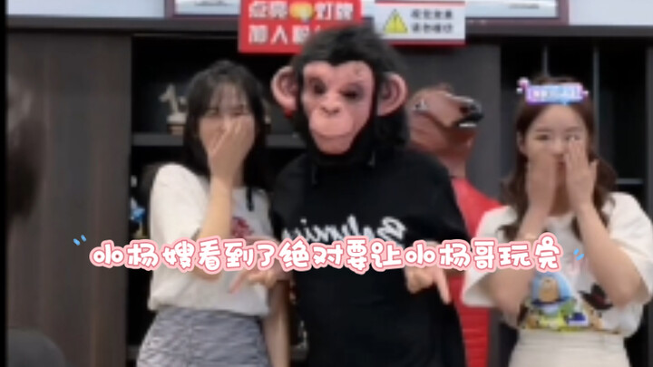 【Crazy Brother Yang】Brother Yang runs into the representatives from the Xizhilang brand again. This 