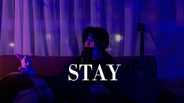 Justin Bieber - "Stay" Piano & Vocal Cover