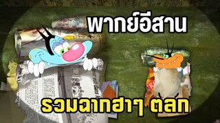 รวมตอนฮาๆ😂 การ์ตูนอ๊อกกี้กับแก๊งแมลงสาบ พากย์อีสาน