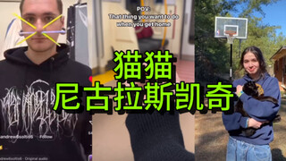 บางครั้งแมวก็รู้สึกหมดหนทางเหมือนกันเวลาเล่นยูทูบต่างประเทศ...