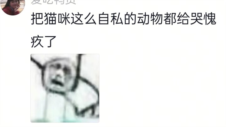 Kucing: Aku juga kejam, nekat mau makan satu suap dari dia!