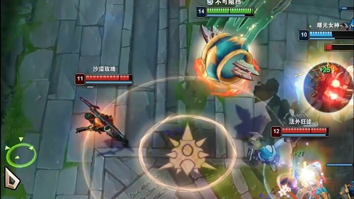 Các bạn học sinh đã từng nghe nói về rùa bảy sao chưa?