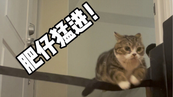 Plump Heavenly Little Female Cop