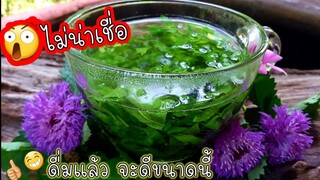 ใบหม่อน ชา ใบหม่อนตากแห้ง  บำรุงสายตา แก้ตาฝ้าฝาง ขุ่นมัว  ชาใบไม้ Mul berry leaves tea  Organic Tea