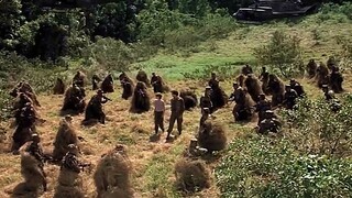 [Koleksi Film dan TV] Tentara pasukan khusus ada di mana-mana, menyaksikan pasangan muda bermesraan~