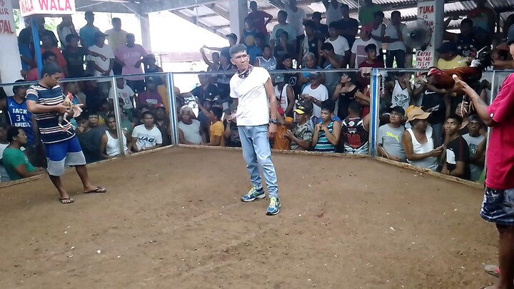 Quidolog Cockpit Arena Pto.Diaz Sorsogon