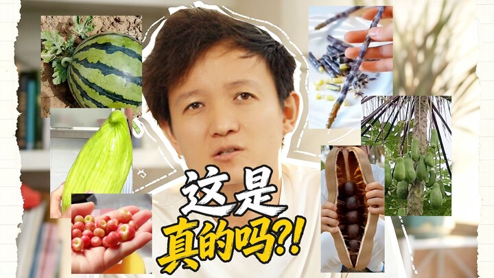 [Thợ săn Trái cây × Hunter] Điều này là có thật sao? (Phần 8)
