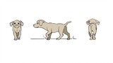 【2d动画】多角度小狗循环走动画