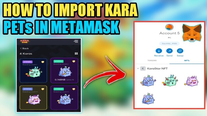 HOW TO ADD KARASTAR NFTs IN METAMASK | HOW TO IMPORT KARA PETS IN METAMASK