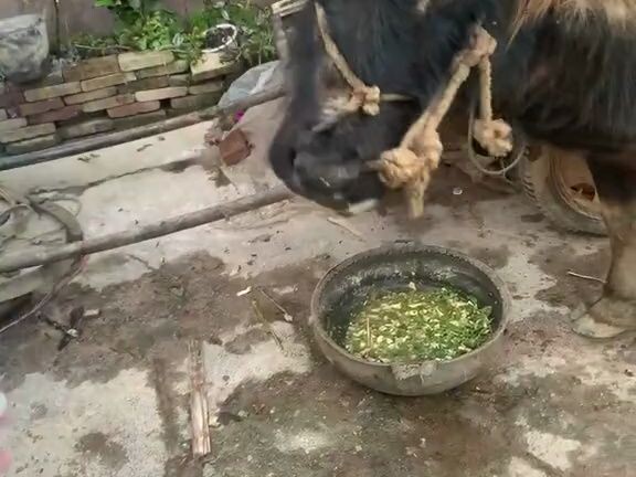 كاد أن يُدفع إلى الأعلى