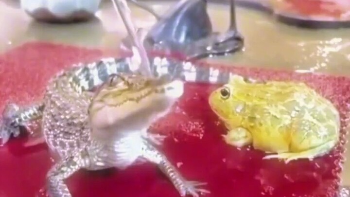 Little Crocodile Loves Taking Baths