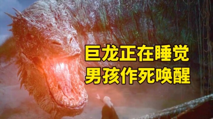 The dragon was sleeping, but was awakened by the boy. It was terrible.