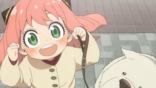 [October/Tanezaki Atsumi/Chinese subtitles first release] SPY×FAMILY Season 3 PV1 [MCE Chinese trans