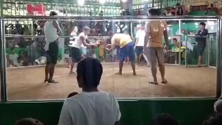 naswertehan gyud tawn