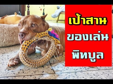 เป้าสานของเล่นสุดโปรด