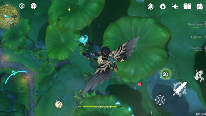 Kapok dah eksplor di Sumeru!