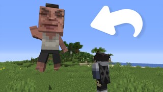 When Eagle Brother was added to the MC server (Player: I felt a little weightless and flew up)