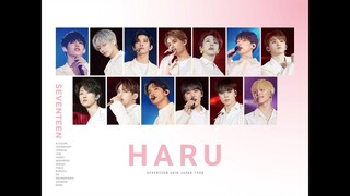 [SPOT] DVD&Blu-ray 『SEVENTEEN 2019 JAPAN TOUR 'HARU'』