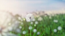 Omniscient Reader The Prophecy Full Movie Eng Sub