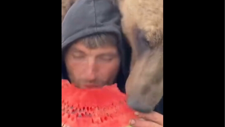 Little Bear, are you being polite? Brown Bears just really love sweets! Let’s go buy a big watermelo