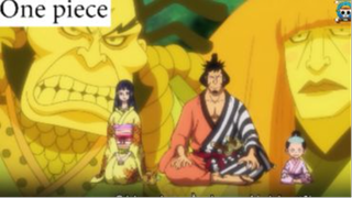 Sự thật về 9 băng kiếm đỏ #Onepiece