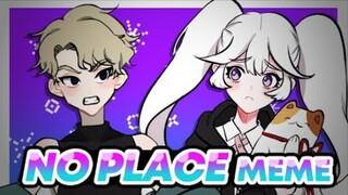NO PLACE MEME