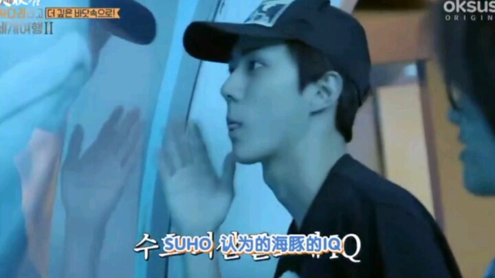 【سيهون】هل شعرت بالإهانة؟