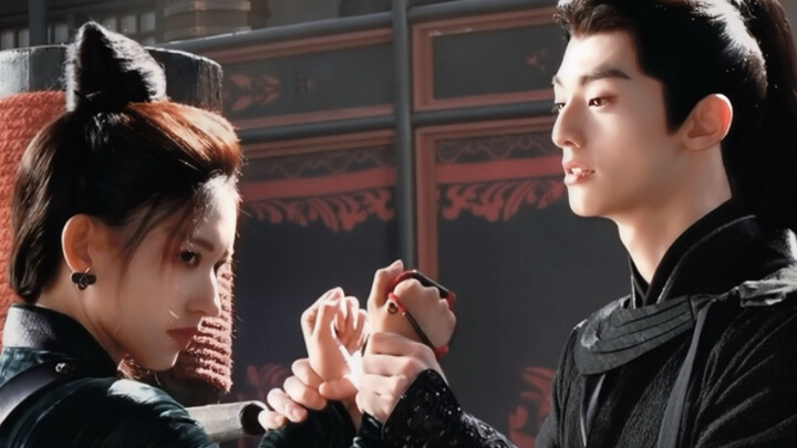 Pai Gu yang sangat menyenangkan dan murni! Darah mengalir seiring, cinta dan kebencian berpasangan, 