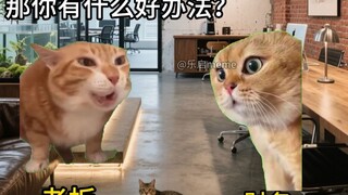 为什么很多公司要开除老板娘