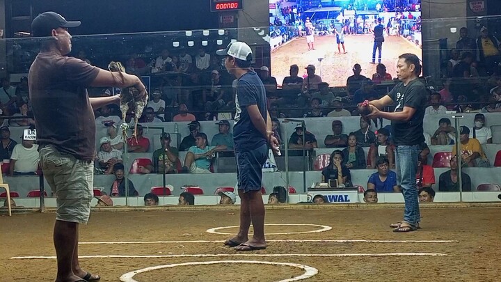 Minsan nlng mag laban tabla pa ang buntot hipon ko