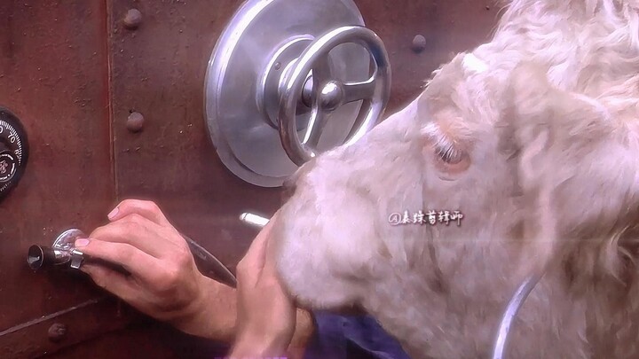 ايتَّقِعوا! أنا هكوّن المؤخرة!