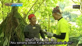 law of the jungle(kota manado) ep 252 sub indo