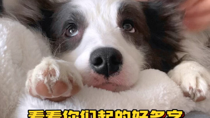 Kesuksesan seri ini sampai ke episode kedua adalah tanggung jawab kita semua yang hadir di sini.