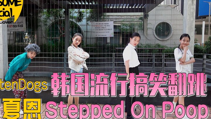 【罗夏恩最新翻跳】韩国流行搞笑翻跳 _ Cover Dance