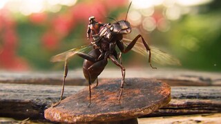 蚁人的超能力更具高级感，光靠能进入量子领域就能打赢不少复仇者
