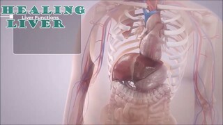 Healing Liver Detox all systems