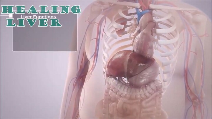 Healing Liver Detox all systems